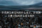 扑克牌又疼又叫的什么含义，扑克牌又疼又叫的什么含义图片