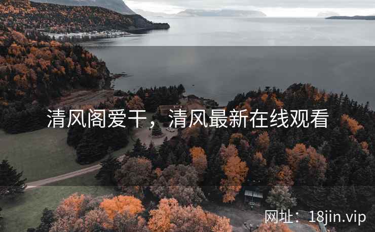 清风阁爱干，清风最新在线观看