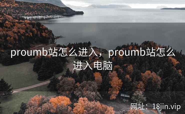 proumb站怎么进入，proumb站怎么进入电脑