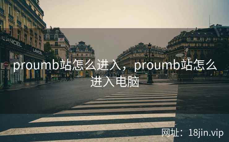 proumb站怎么进入，proumb站怎么进入电脑