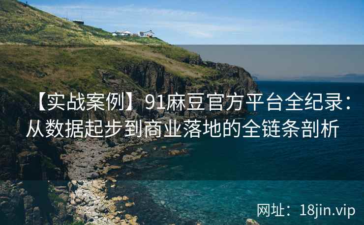 【实战案例】91麻豆官方平台全纪录：从数据起步到商业落地的全链条剖析